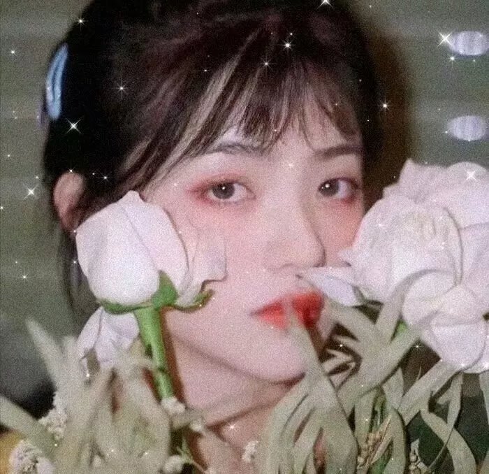 杀人蜂