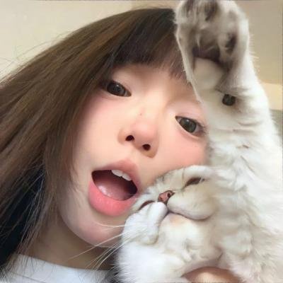 政坛混战
